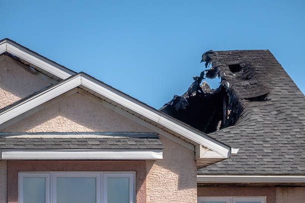Top rated local Board Up Services specialists in Gaylord, MN